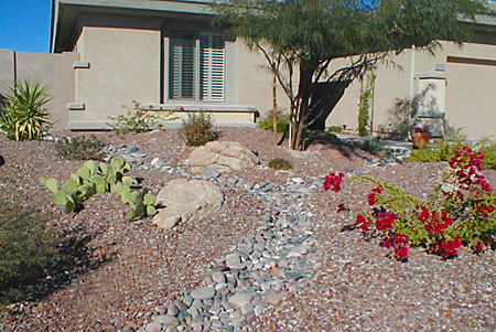 Xeriscape Designs