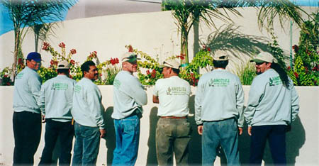 Anozira Landscape workers in sweatshirts and jeans standing behind wall with potted plants